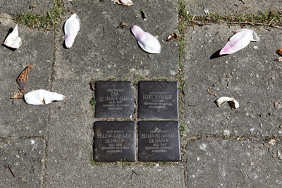 914147 Afbeelding van de struikelstenen (Stolpersteine) ter nagedachtenis aan Eva de Haaff-Olman, Louis de Haaff, ...